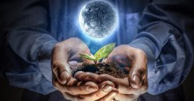 A-t-on vraiment besoin d’un calendrier lunaire pour jardiner ? A-t-on vraiment besoin d’un calendrier lunaire pour jardiner ?