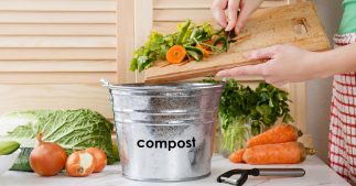 Biodéchets : comment s'y prendre pour composter facilement en appartement ? Biodéchets : comment s'y prendre pour composter facilement en appartement ?