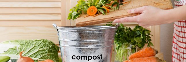 Biodéchets : comment s'y prendre pour composter en appartement ?