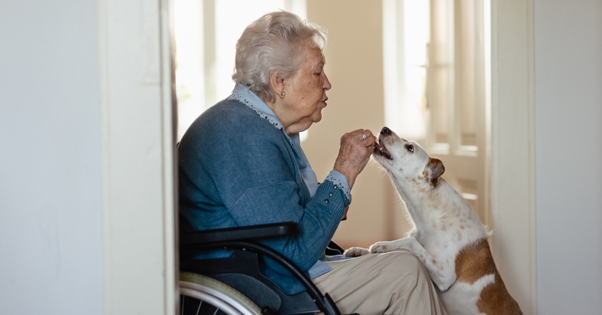Ehpad : bientôt des animaux de compagnie ? Ehpad : bientôt des animaux de compagnie ?