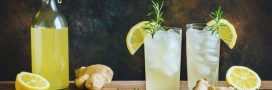 Recette - Ginger Beer ou soda au gingembre maison Recette - Ginger Beer ou soda au gingembre maison