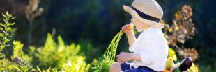 Pesticides : les chercheurs veulent étudier les enfants Pesticides : les chercheurs veulent étudier les enfants