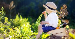 Pesticides : les chercheurs veulent étudier les enfants Pesticides : les chercheurs veulent étudier les enfants