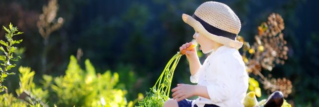 Pesticides : les chercheurs veulent étudier les enfants