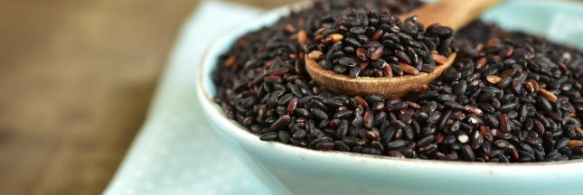 riz noir, bienfaits et idées recettes