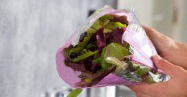 Trop de pesticides dans les salades en sachet