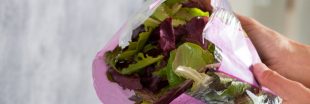 Les salades en sachet sont-elles si saines que cela ?