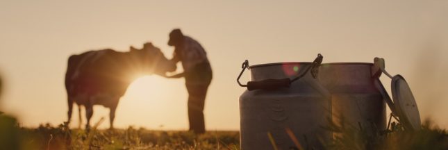 Salaire : combien gagne un agriculteur ?