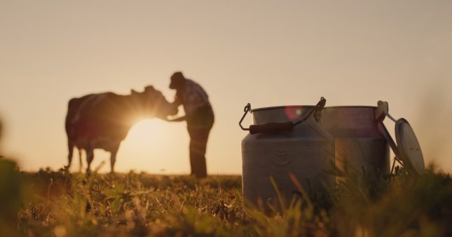 Salaire : combien gagne un agriculteur ?