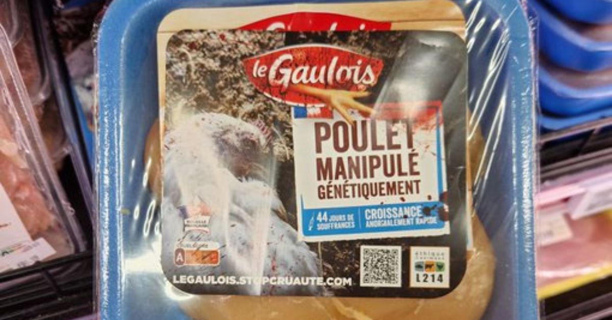 Élevage intensif : L214 cible Le Gaulois avec opération de stickage