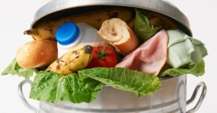 Un milliard de repas par jour à la poubelle