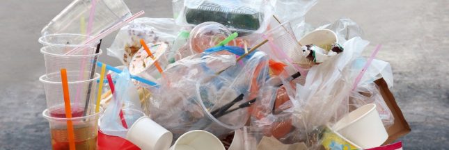 Pourquoi la loi anti-gaspillage de 2020 est un échec