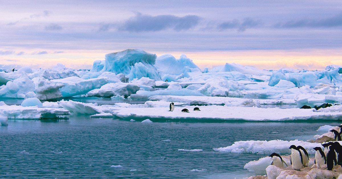 Les microplastiques en Antarctique, un signal d’alarme pour le monde