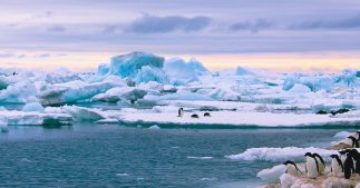 Les microplastiques en Antarctique, un signal d'alarme pour le monde
