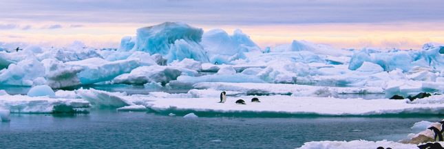 Les microplastiques en Antarctique, un signal d'alarme pour le monde