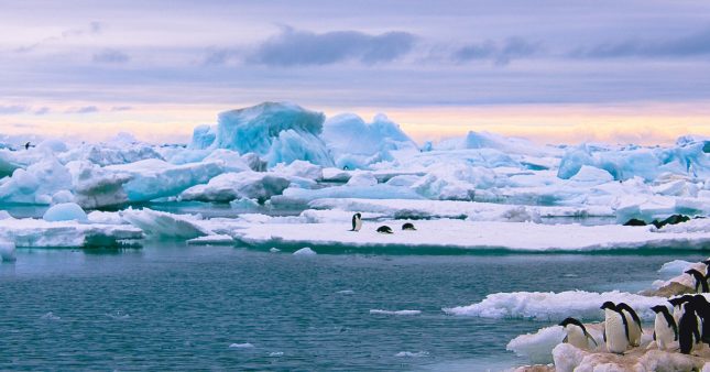 Les microplastiques en Antarctique, un signal d'alarme pour le monde