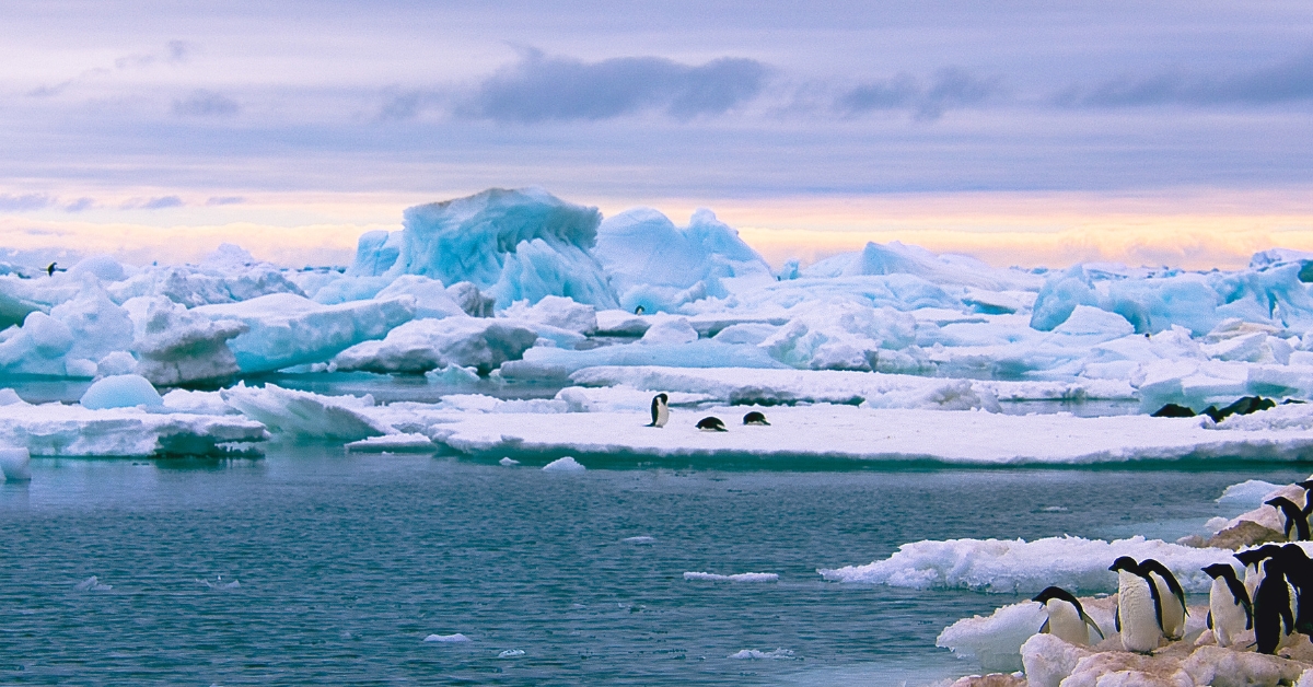 Les microplastiques en Antarctique, un signal d'alarme pour le monde