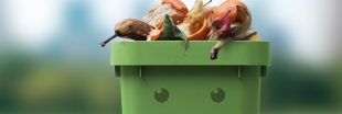 Tri des poubelles : les Français face à la gestion des biodéchets