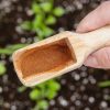 Cannelle au jardin : l'astuce de grand-mère qui protège vos plantes naturellement Cannelle au jardin : l'astuce de grand-mère qui protège vos plantes naturellement
