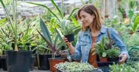Comment bien choisir une plante en pot ?