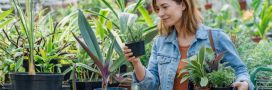 Comment bien choisir une plante en pot ?