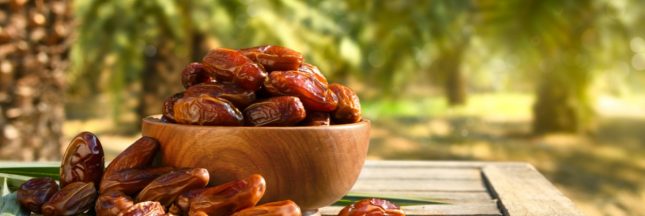 Faire germer un noyau de datte