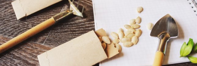 Comment savoir si de vieilles graines sont encore bonnes ?