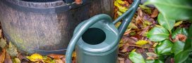 Nettoyer son récupérateur d'eau de pluie : guide complet