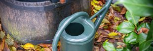 Nettoyer son récupérateur d'eau de pluie : guide complet