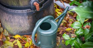 Nettoyer son récupérateur d'eau de pluie : guide complet