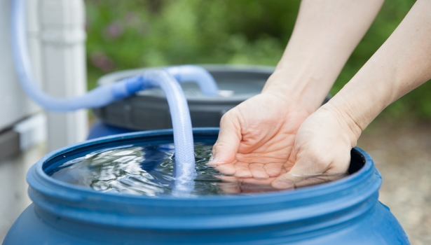 récupérateur d'eau au jardin