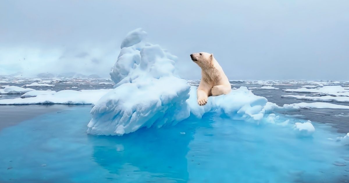 Climat : l’ONU alerte, on est au bord du gouffre !