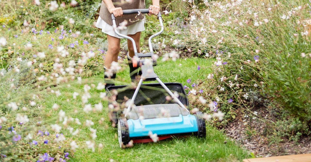 Pelouse au printemps : quand faire la première tonte sans erreur ?