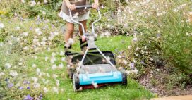 Pelouse au printemps : quand faire la première tonte sans erreur ?
