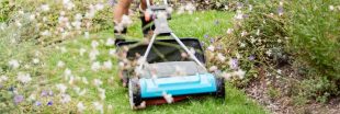 Pelouse au printemps : quand faire la première tonte sans erreur ?