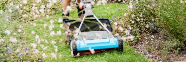 Tondre trop tôt au printemps peut ruiner votre gazon