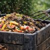 Compost : comment se débarrasser des moucherons ? Compost : comment se débarrasser des moucherons ?