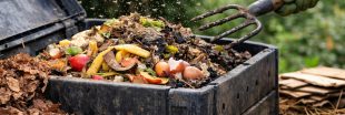 Compost : comment se débarrasser des moucherons ? Compost : comment se débarrasser des moucherons ?