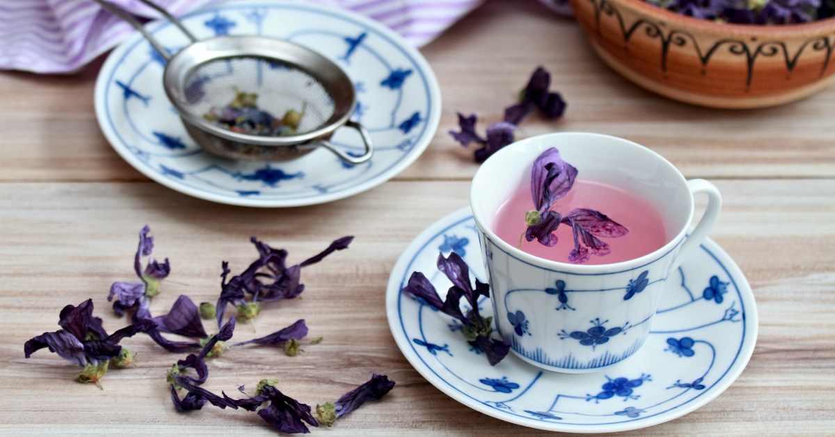 Constipation : cette fleur oubliée aide à relancer le transit naturellement