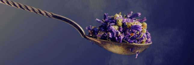 La tisane de fleur de mauve est laxative et donc efficace contre la constipation
