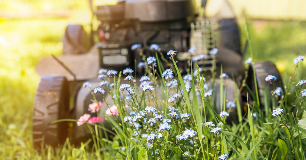 À vos tondeuses : quand commencer à tondre sa pelouse au printemps ?