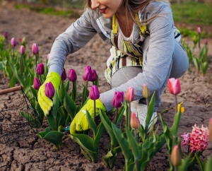7 conseils pour un jardin bio naturel au printemps !