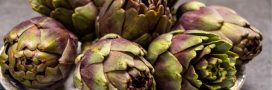 Artichaut poivrade : conseils de préparation et recette