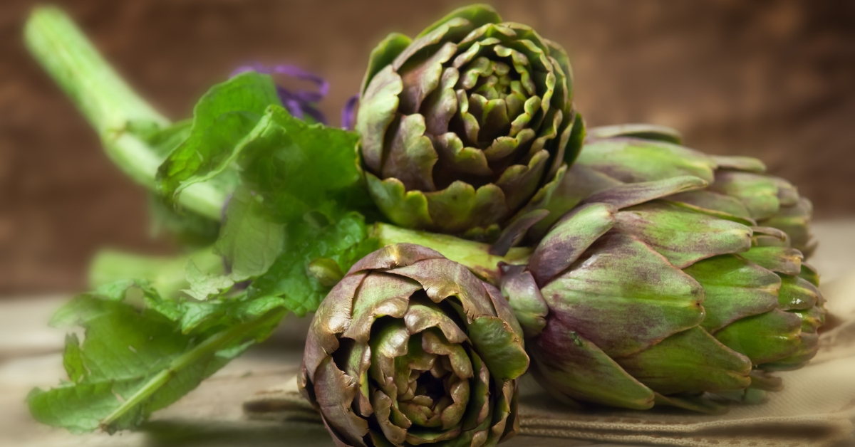 Artichaut poivrade : conseils de préparation et recette