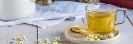 Les bienfaits de la camomille