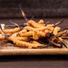 Le cordyceps, le champignon vitalité