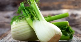 Le fenouil : un trésor de bienfaits pour la santé