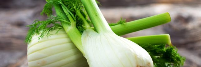 Le Fenouil : Un Trésor de Vertus pour Votre Santé