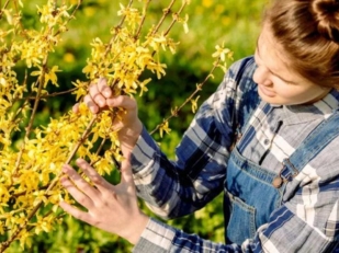 Printemps au jardin : 7 erreurs trop souvent commises