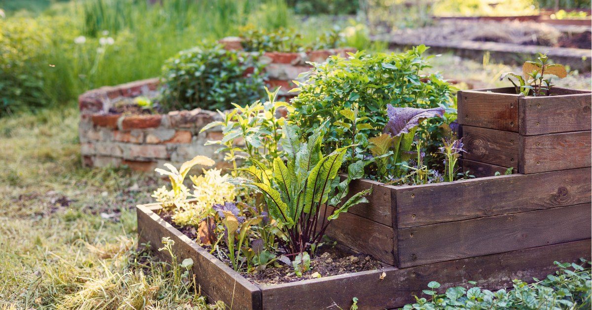 Jardin bio au printemps : 7 gestes simples pour booster la biodiversité Jardin bio au printemps : 7 gestes simples pour booster la biodiversité